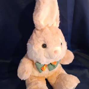 Inicio coneja de pascua